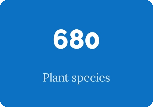 Brijuni Islands National Park Plant Species